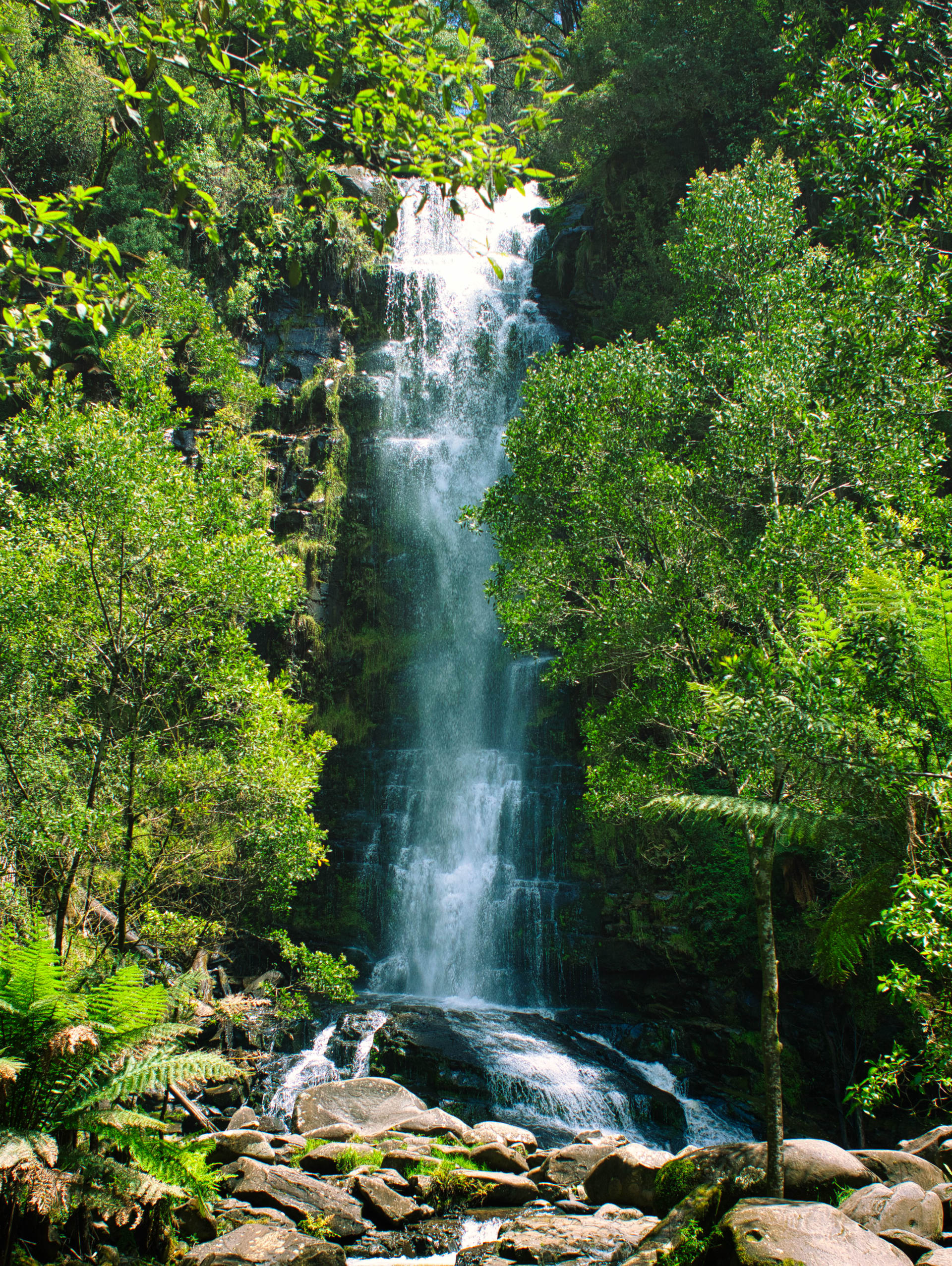 Took a detour to visit this waterfall on the Great Ocean Road. Taken on a 1 day road trip towards The Twelve Apostles.